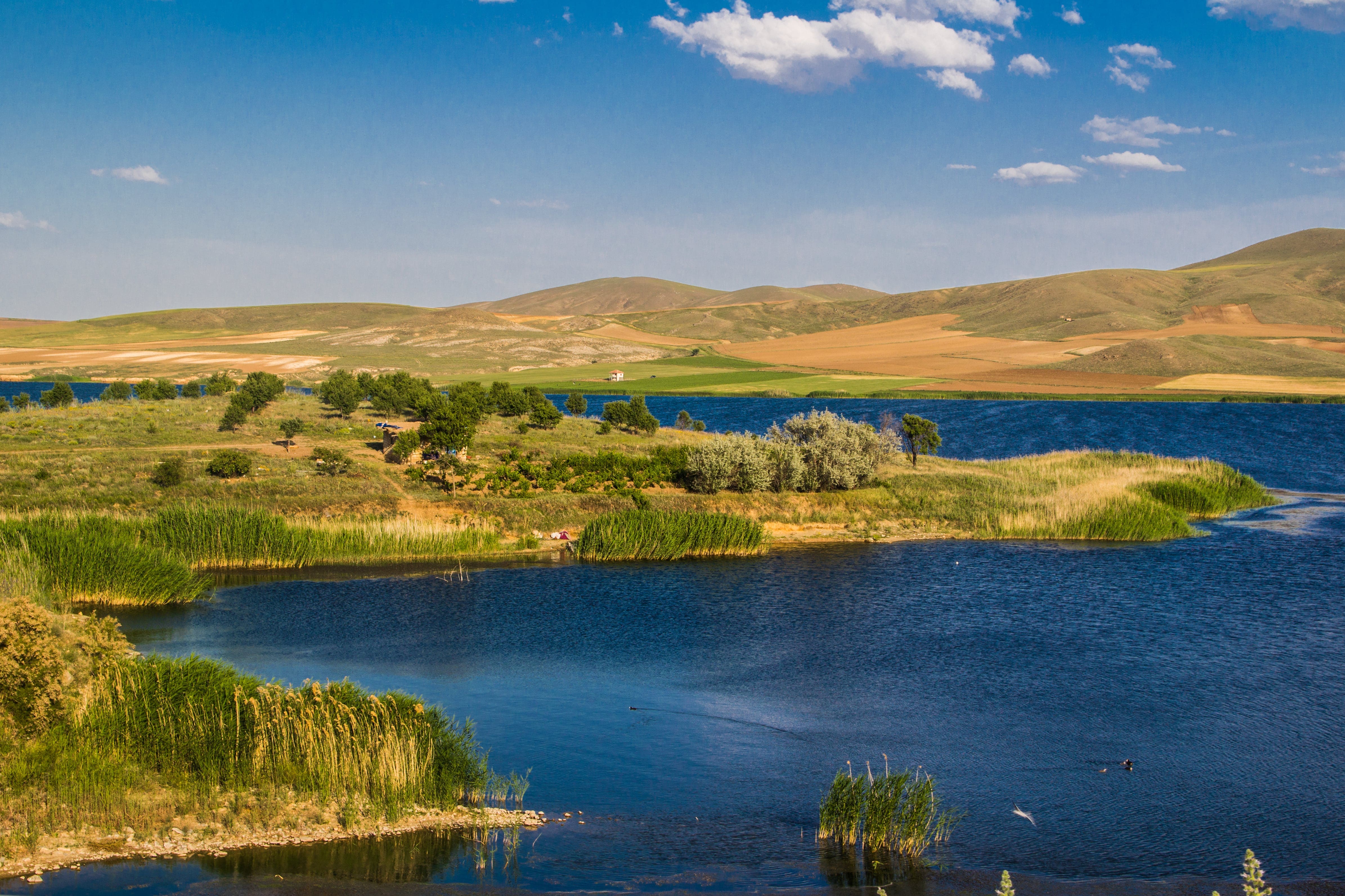 AKSARAY SARIYAHŞİ TERCÜME BÜROSU