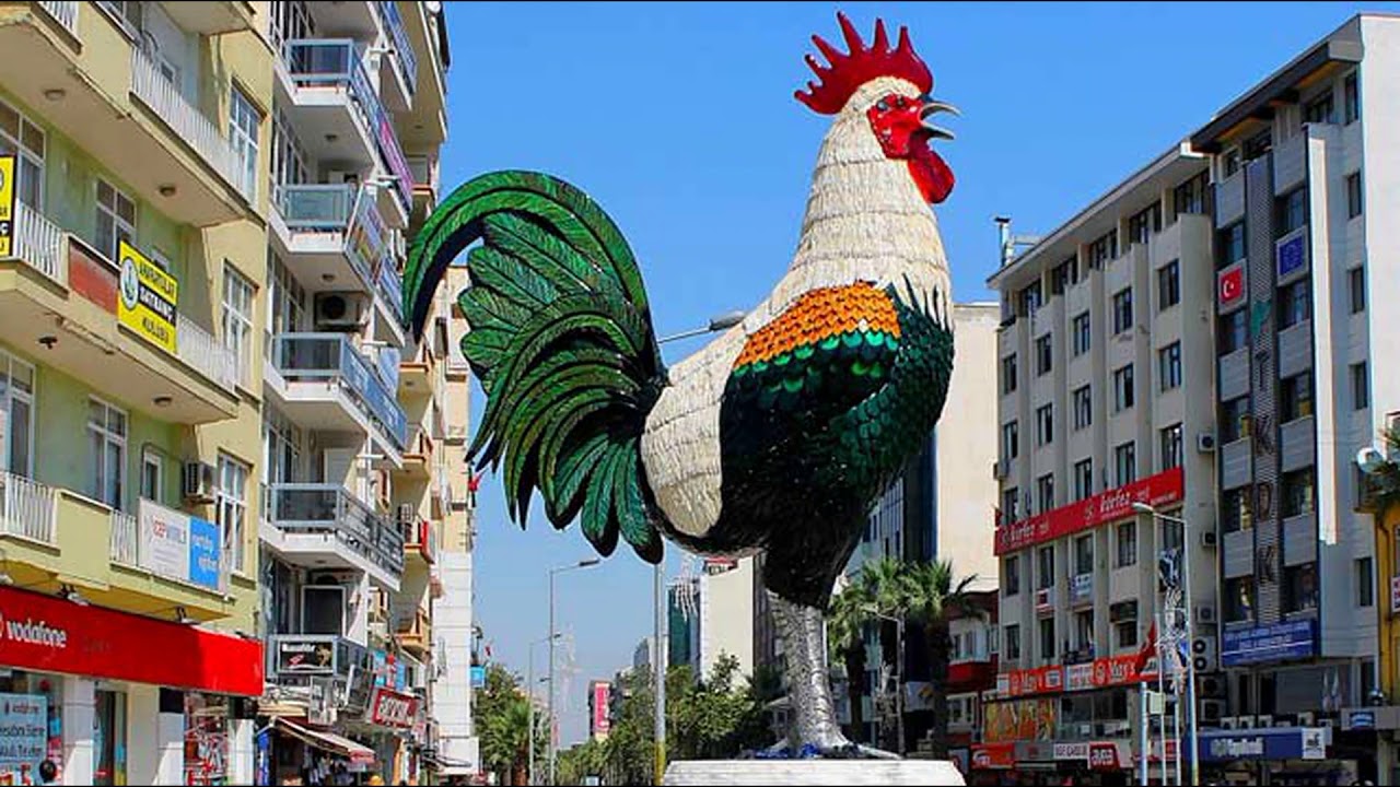Denizli En İyi Tercüme Bürosu
