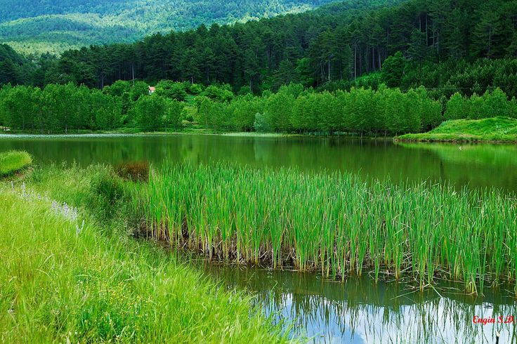 KELES TERCÜME BÜROSU
