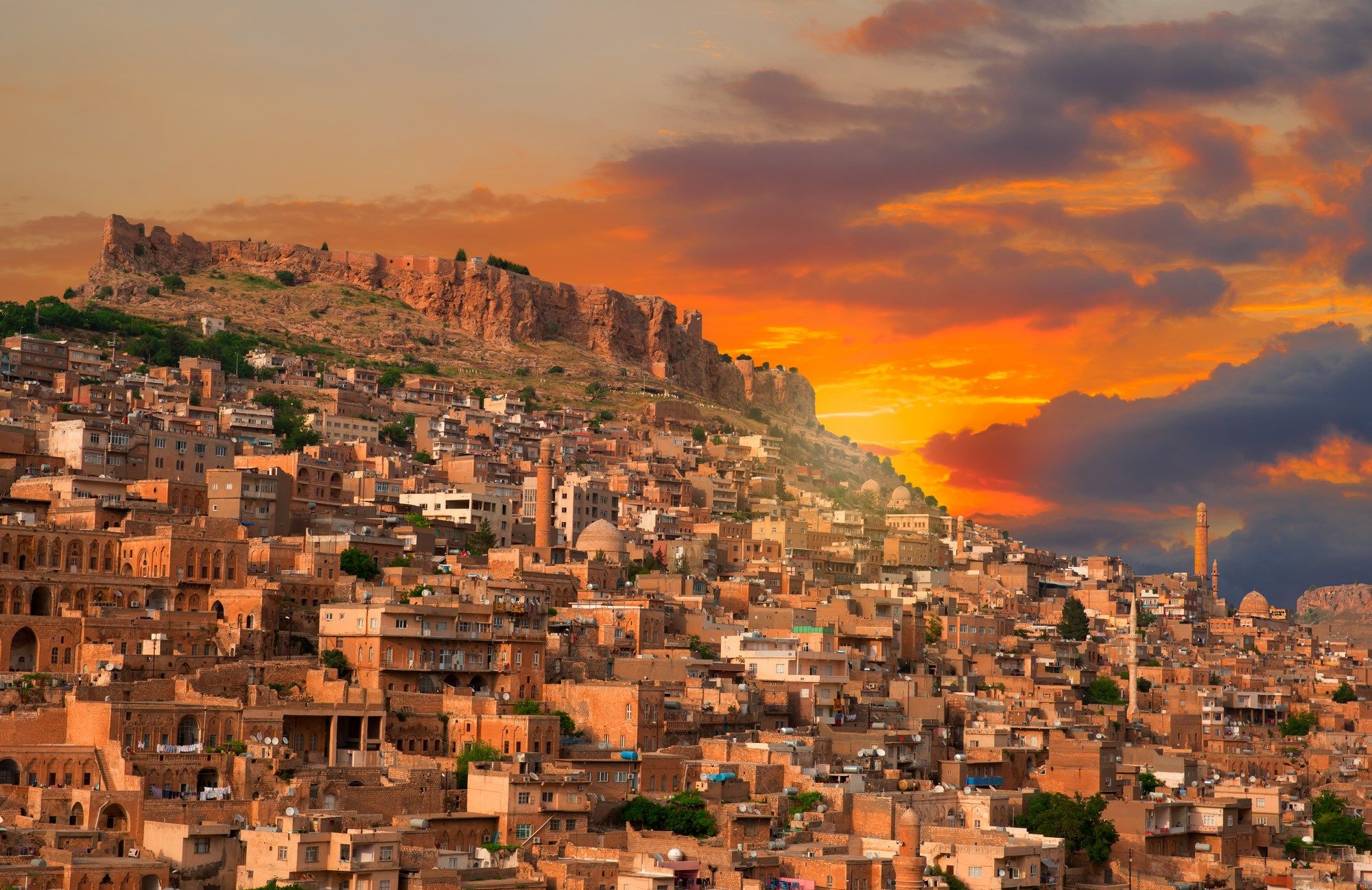 Mardin En İyi Tercüme Bürosu